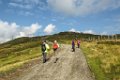 83 und weiter Richtung Braunkogel